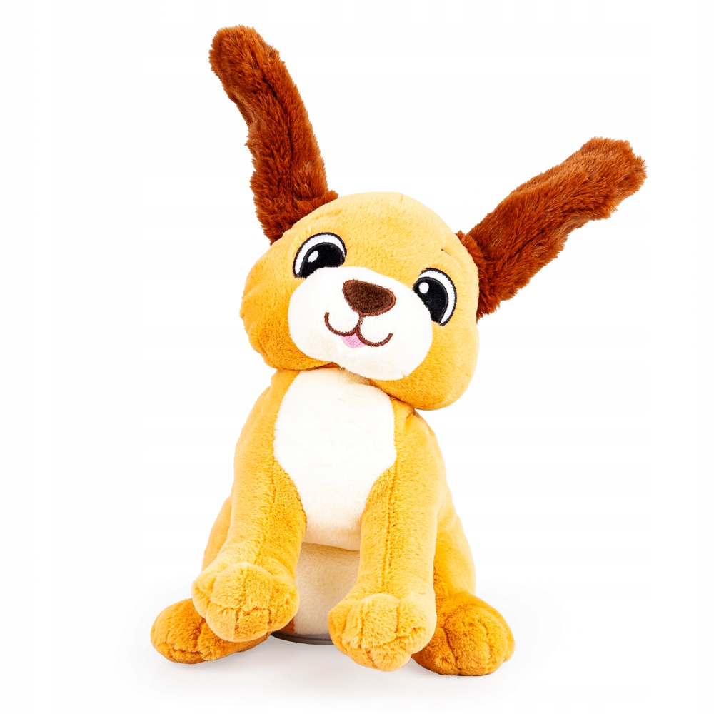 DUMEL USZATY PIESEK RAFI RUSZA USZAMI PIOSENKI ZWROTY MÓWI PO POLSKU